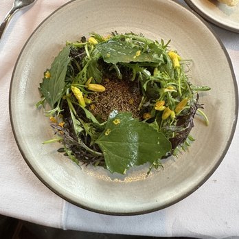 The Elderberry House - Weeds from Kern Farm with ricotta and puffed amaranth - French Near Me - Oakhurst, California The Elderberry House - Weeds from Kern Farm with ricotta and puffed amaranth - French Near Me - Oakhurst, California