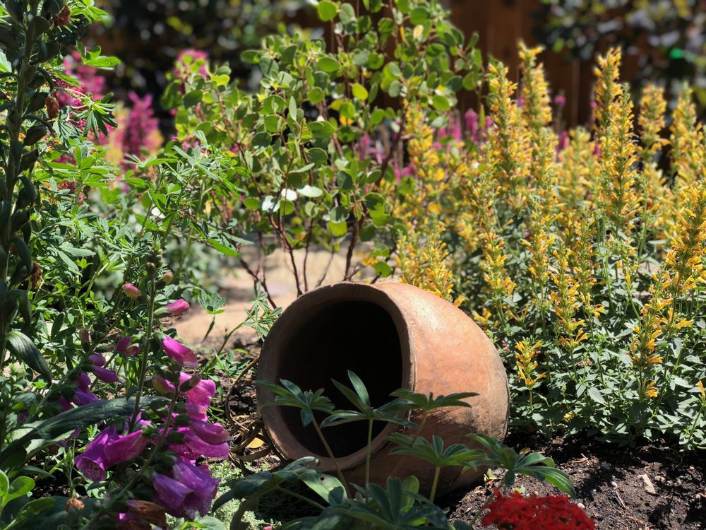 Slide of Blooming Desert Design + Build