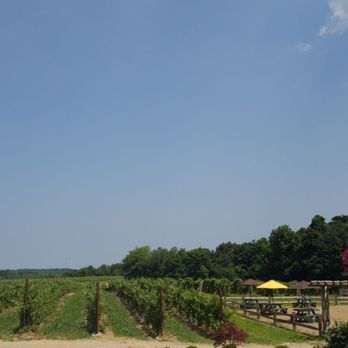 Kosicek Vineyards - Wineries Near Me - Harpersfield, Ohio Kosicek Vineyards - Wineries Near Me - Harpersfield, Ohio
