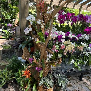 Island Home - Nurseries & Gardening Near Me - Tavernier, Florida