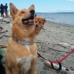 I know that whenever I'm away, Domo's having a nice little vacation of his own with Andy :)