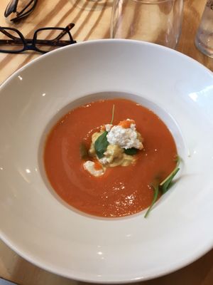 Somiatruites by null