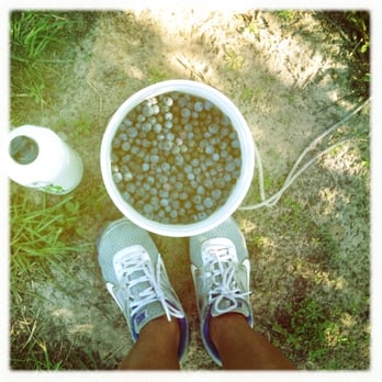 Moorhead's Blueberry Farm - Ah, the bounty of my labor. - Pick Your Own Farms Near Me - Conroe, Texas Moorhead's Blueberry Farm - Ah, the bounty of my labor. - Pick Your Own Farms Near Me - Conroe, Texas