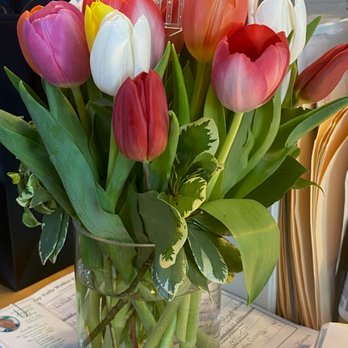 Harmon's - Portland - Florists Near Me - Portland, Maine Harmon's - Portland - Florists Near Me - Portland, Maine