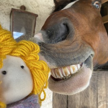 Rayuela Wine & Grill - Visiting the stable with the little prince. - Wine Bars Near Me - Santa Cruz, AI Rayuela Wine & Grill - Visiting the stable with the little prince. - Wine Bars Near Me - Santa Cruz, AI