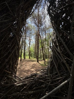 The Wild Center by null