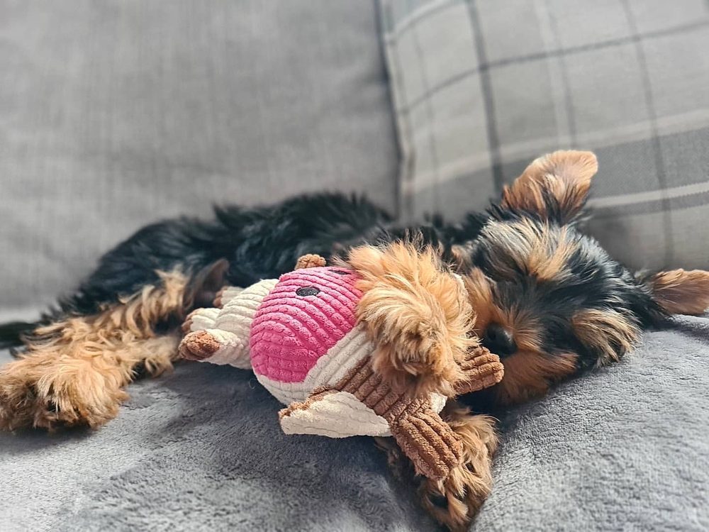 NAMASTE WELLNESS SPA Updated August 2024 198 Orinoco Dr