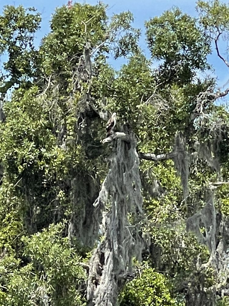 Manatee River - social services organization in Bradenton, FL