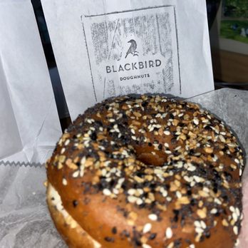 Blackbird Doughnuts - Fenway - Everything bagel doughnut - Donuts Near Me - Boston, Massachusetts Blackbird Doughnuts - Fenway - Everything bagel doughnut - Donuts Near Me - Boston, Massachusetts