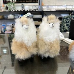 Global Heart - Little Llamas