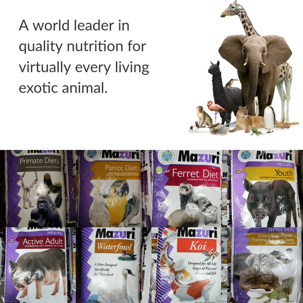 ROBERT’S PET SHOP 52 Photos & 27 Reviews Pet Stores 24420 Packinghouse Rd, Homestead, FL