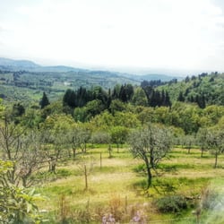 Il panorama dalla veranda deI Ricchi