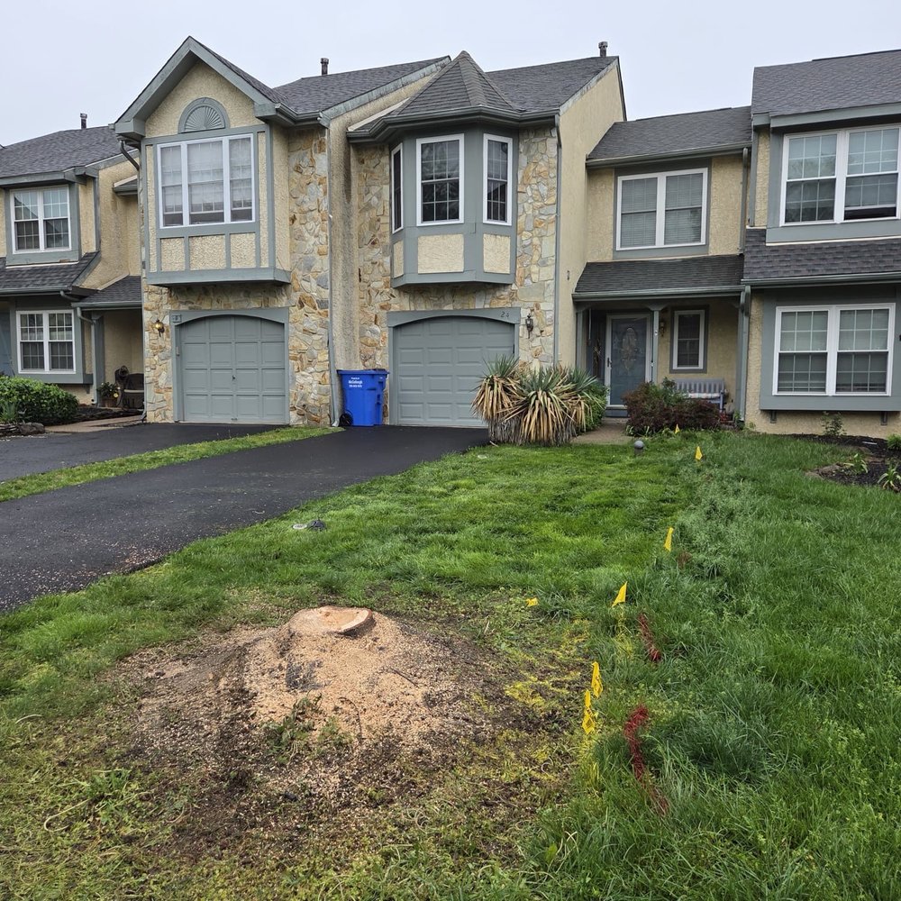 Monster - tree service in Doylestown, PA