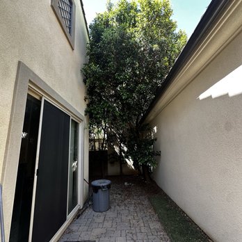 Padilla Tree Service - Tree Services Near Me Padilla Tree Service - Tree Services Near Me