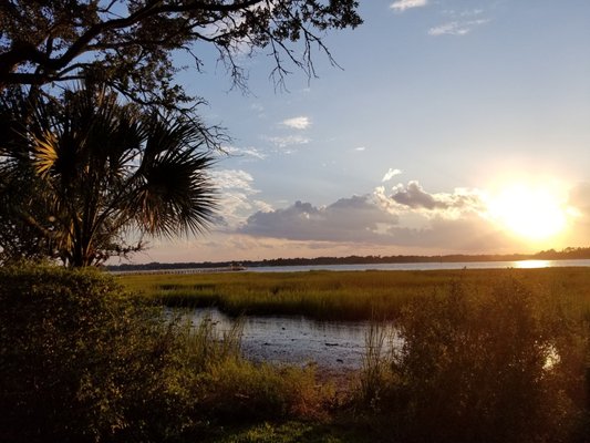 Lowndes Grove by null