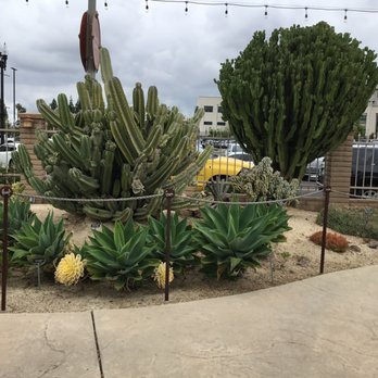 Olaf Wieghorst Museum - Garden - Museums Near Me - El Cajon, California Olaf Wieghorst Museum - Garden - Museums Near Me - El Cajon, California