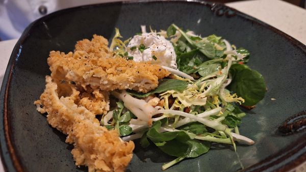 The Hummingbird Way Oyster Bar by null