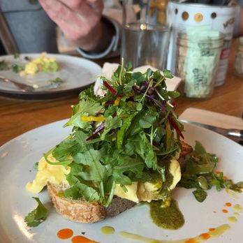 Harvest - soft scrambled egg (avocado toast in the background) - Breakfast & Brunch Near Me - Park City, Utah Harvest - soft scrambled egg (avocado toast in the background) - Breakfast & Brunch Near Me - Park City, Utah