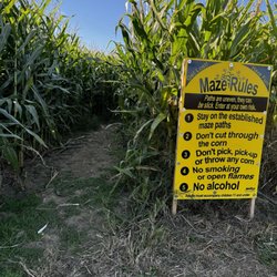 Ruwet Berry Scary Acres - Corn maze