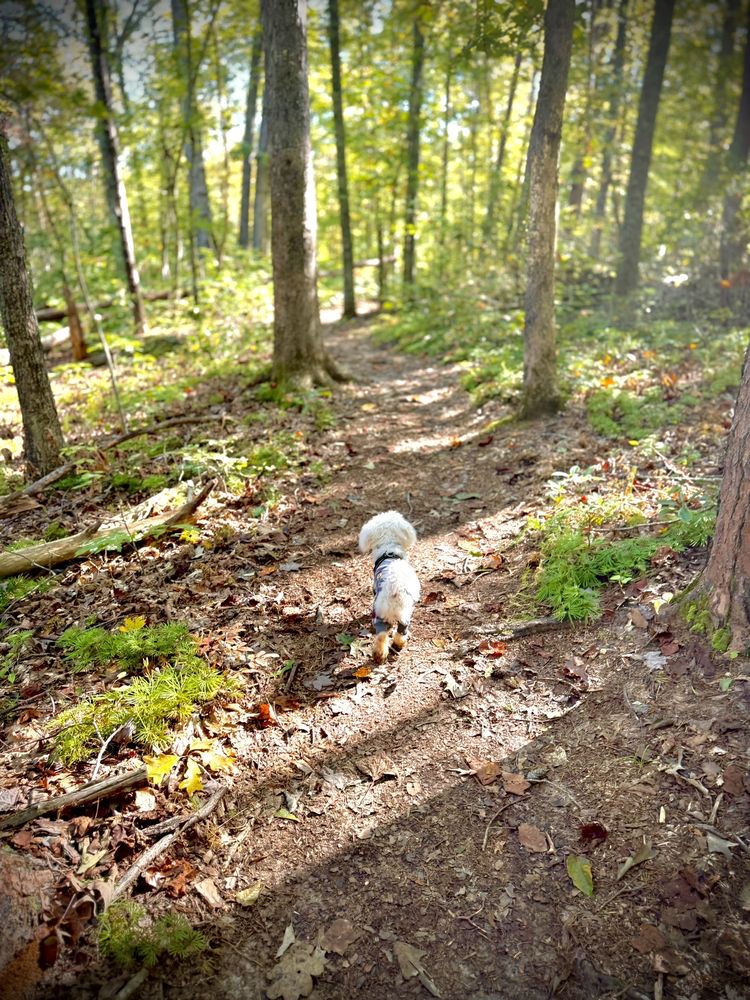 WALNUT CREEK PARK Updated September 2024 21 Photos & 16 Reviews