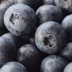 Kernodle's Blueberry Farm - Fresh Picked Blueberries: Kernodle's Blueberry Farm