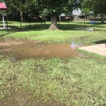 Beaullieu Park Dog Park - This is at the pavilion - Dog Parks Near Me - Lafayette, Louisiana