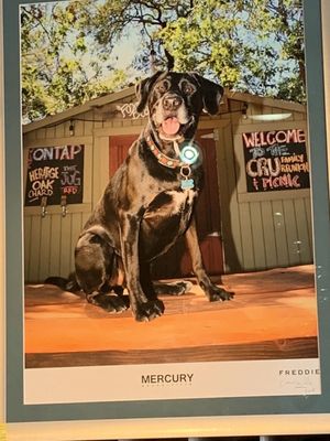 Mercury Wine by null