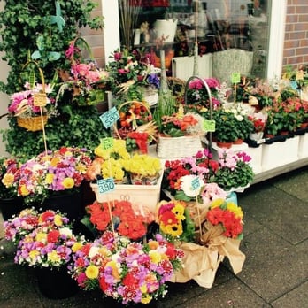 Tulpenstengel - Florists Near Me - Hamburg, HH Tulpenstengel - Florists Near Me - Hamburg, HH