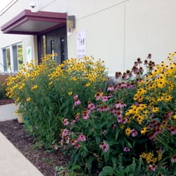 Pumpkin Patch Preschool