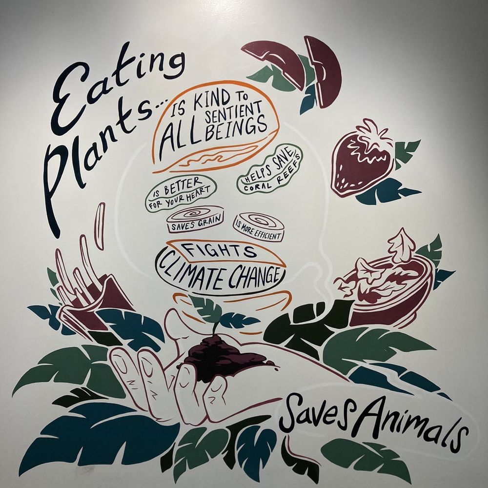 Elephant And Vine - Awesome decor - Vegan Near Me - Evanston, Illinois