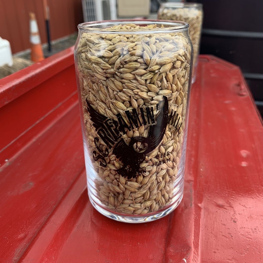 Screamin' Hill Brewery -  glass of barley - Breweries Near Me - Cream Ridge, New Jersey