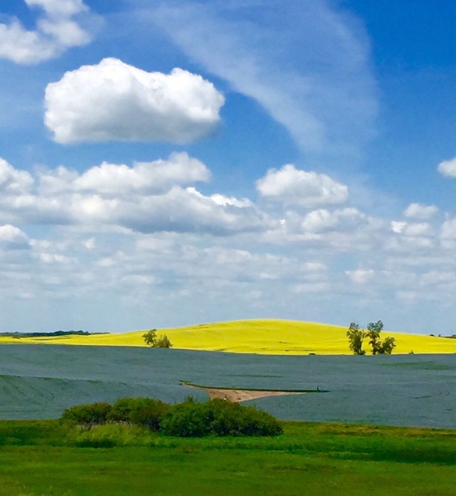 CROSBY MEADOWS Request Information 10 Photos 202 6th St NW