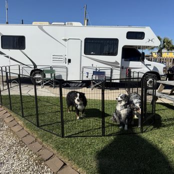 The Breeze Beachfront Resort - Clean spaces- the girls approve!! - RV Parks Near Me - Surfside Beach, Texas The Breeze Beachfront Resort - Clean spaces- the girls approve!! - RV Parks Near Me - Surfside Beach, Texas