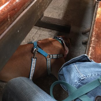 Borderlands Brewing - Puppy dogs welcome! - Breweries Near Me - Tucson, Arizona Borderlands Brewing - Puppy dogs welcome! - Breweries Near Me - Tucson, Arizona