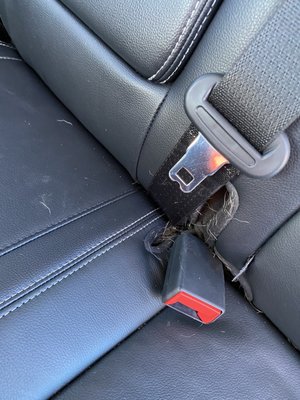 DUCKY’S CAR WASH - SAN MATEO - Updated August 2025 - 509 Photos & 1088