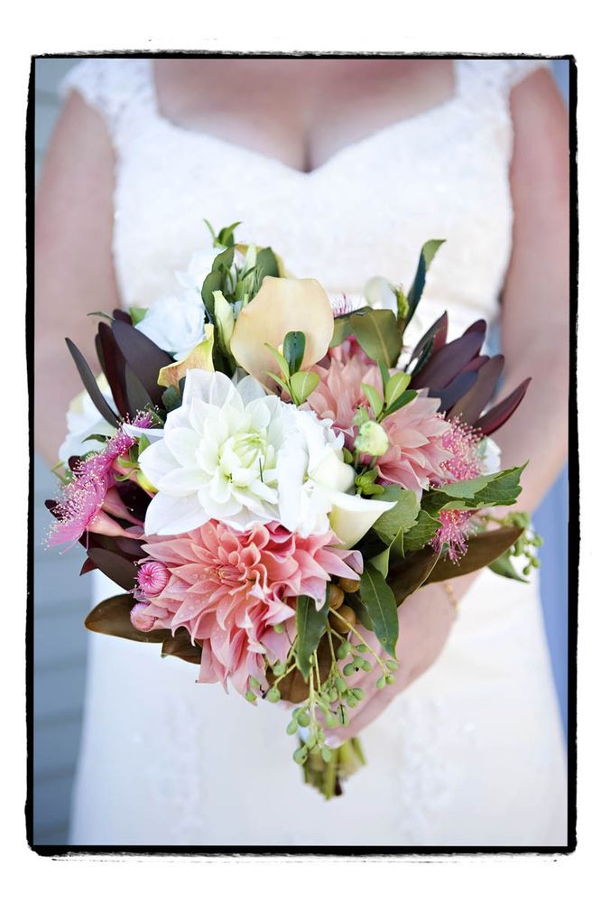 SALAMANDER VILLAGE FLORIST 12 Photos 255 Soldiers Point Rd