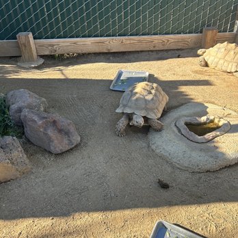 Monterey Zoo - Zoos Near Me - Salinas, California Monterey Zoo - Zoos Near Me - Salinas, California