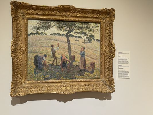 Santa Barbara Museum Of Art by null