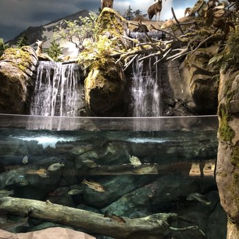 Bass Pro Shops - Guns & Ammo Near Me - Rocklin, California
