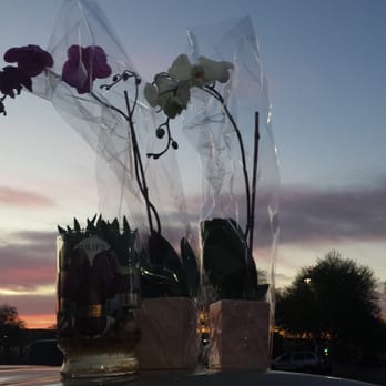 Costco - Orchids, tulips, sunset- oh, my! - Wholesale Stores Near Me - Scottsdale, Arizona