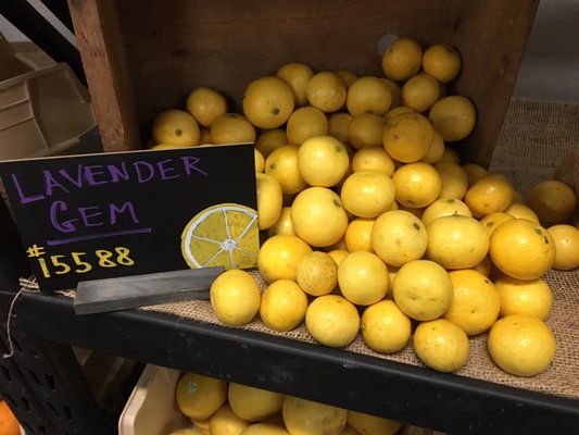 SPECIALTY PRODUCE 162 Reviews 844 Photos 1929 Hancock St San 