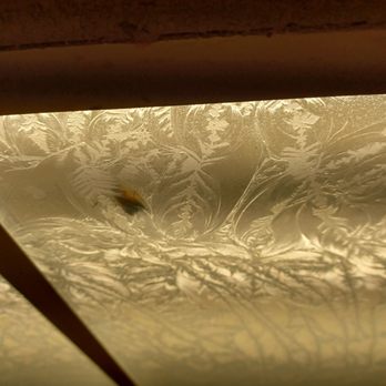 Legacy Golf Resort - Dead roach in the lights - Hotels Near Me - Phoenix, Arizona