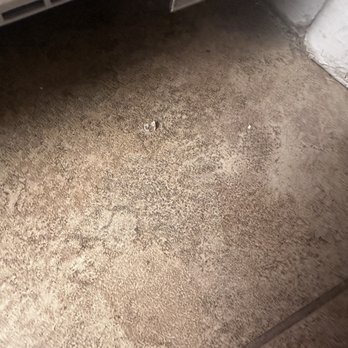 Valley's Best Cleaners - Glass from broken shelf - Carpet Cleaning Near Me Valley's Best Cleaners - Glass from broken shelf - Carpet Cleaning Near Me