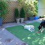 Photo of Woof! Dog Shop & Daycare