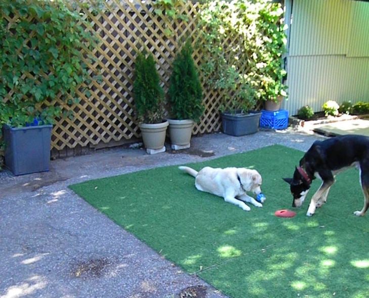 Woof! Dog Shop & Daycare Image