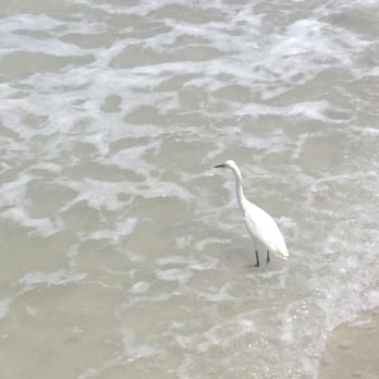 Madeira Beach - Beaches Near Me - Madeira Beach, Florida