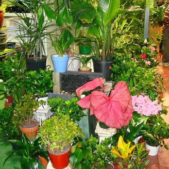 Mushtari Hardware and Garden - Hardware Stores Near Me - New York, New York