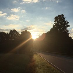 Leisure Acres - Morning