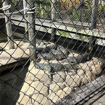 Lost Caverns Adventure Golf - Bridge - Mini Golf Near Me - Orlando, Florida