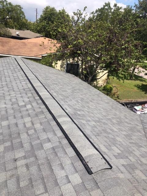 Slide of Vick's Tree Experts